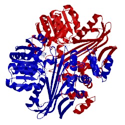 Image of CATH 5l78