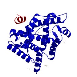 Image of CATH 5l7e