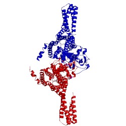 Image of CATH 5l7i