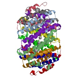 Image of CATH 5l8f