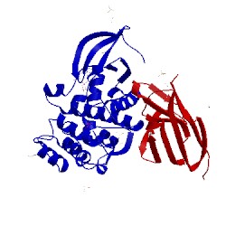 Image of CATH 5l8l