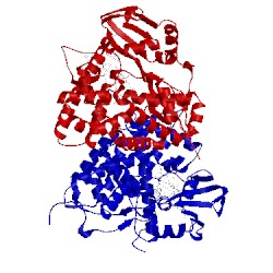 Image of CATH 5l91