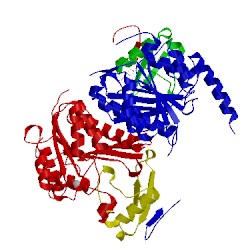 Image of CATH 5l95