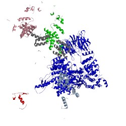Image of CATH 5l9t