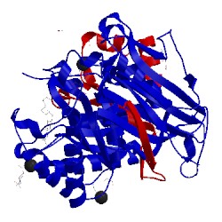 Image of CATH 5l9z