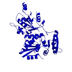 Image of CATH 5lad