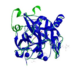 Image of CATH 5lce