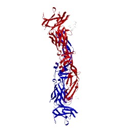 Image of CATH 5lcv