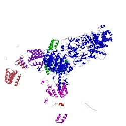 Image of CATH 5lcw