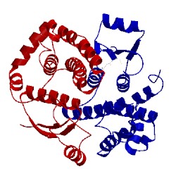 Image of CATH 5lcz