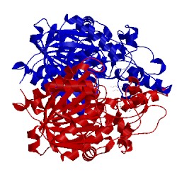 Image of CATH 5ld8