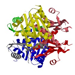 Image of CATH 5ldd