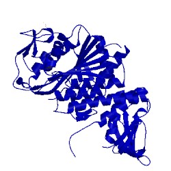 Image of CATH 5lhj