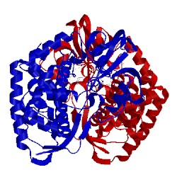 Image of CATH 5li7