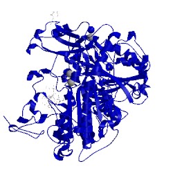 Image of CATH 5lia