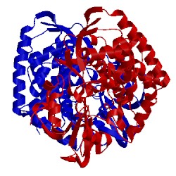 Image of CATH 5lie