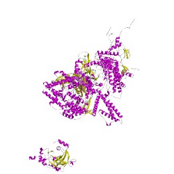 Image of CATH 5lj5A