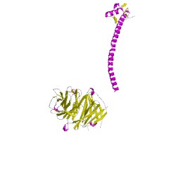 Image of CATH 5lj5u