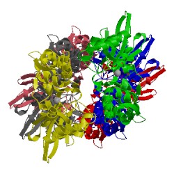 Image of CATH 5ljv