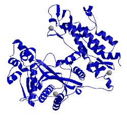 Image of CATH 5lkx