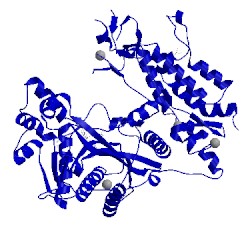 Image of CATH 5lkz