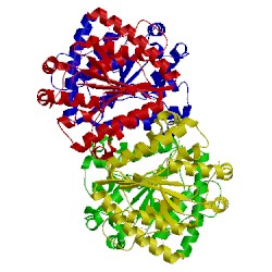 Image of CATH 5ll0