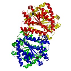 Image of CATH 5llb