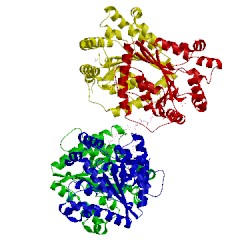 Image of CATH 5llf