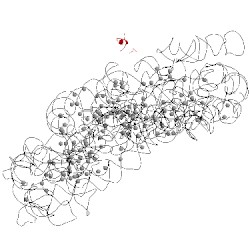 Image of CATH 5lmn