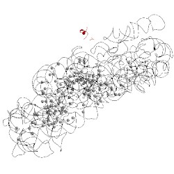 Image of CATH 5lmp