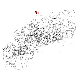 Image of CATH 5lmt