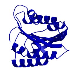 Image of CATH 5ln1