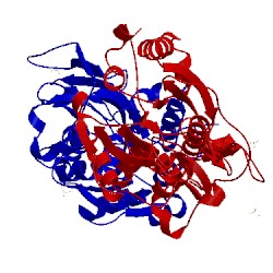 Image of CATH 5lod