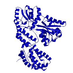 Image of CATH 5lof