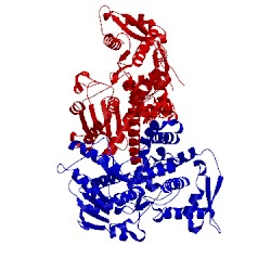 Image of CATH 5lp8