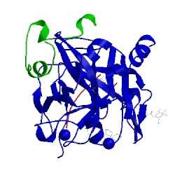 Image of CATH 5lpd