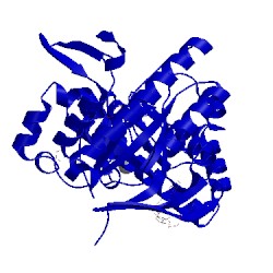 Image of CATH 5lpo