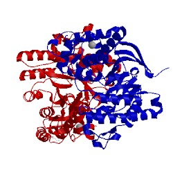 Image of CATH 5lpt