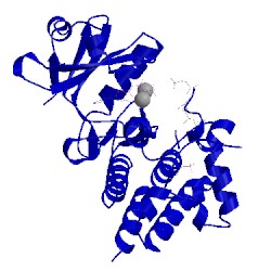 Image of CATH 5lpv