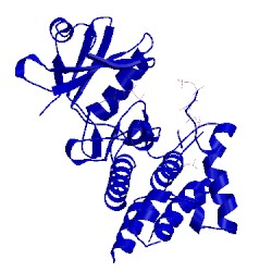 Image of CATH 5lpz