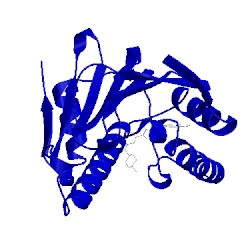 Image of CATH 5lq9