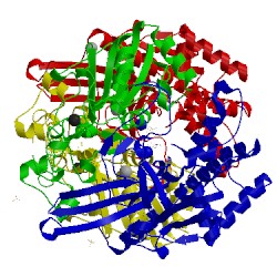 Image of CATH 5lry