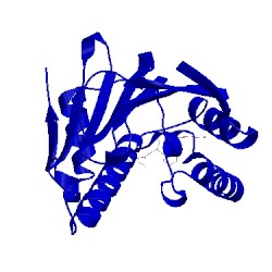Image of CATH 5lrz