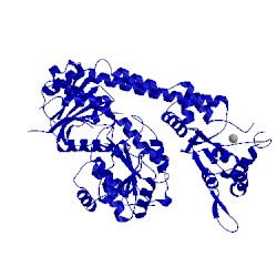 Image of CATH 5lst