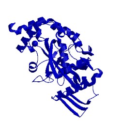 Image of CATH 5lth