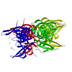 Image of CATH 5lug