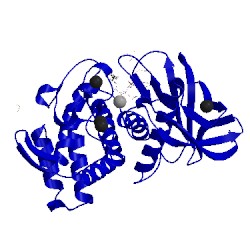 Image of CATH 5lvd