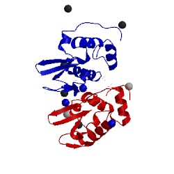 Image of CATH 5lvk