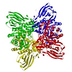 Image of CATH 5lvx