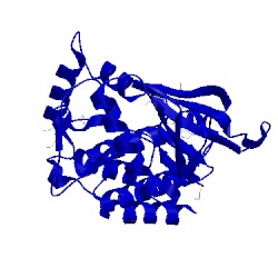 Image of CATH 5lwm